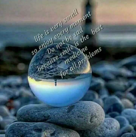rubbybrar96